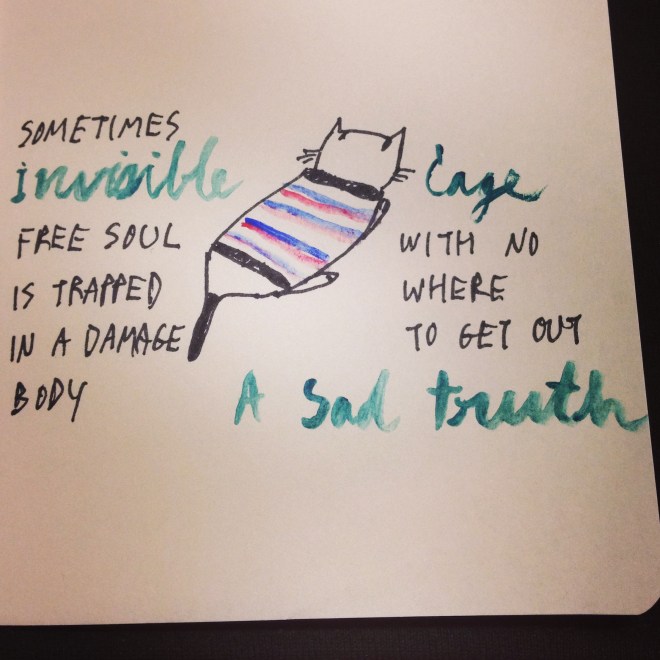 Tako had a bad cold while waiting to be neutered.