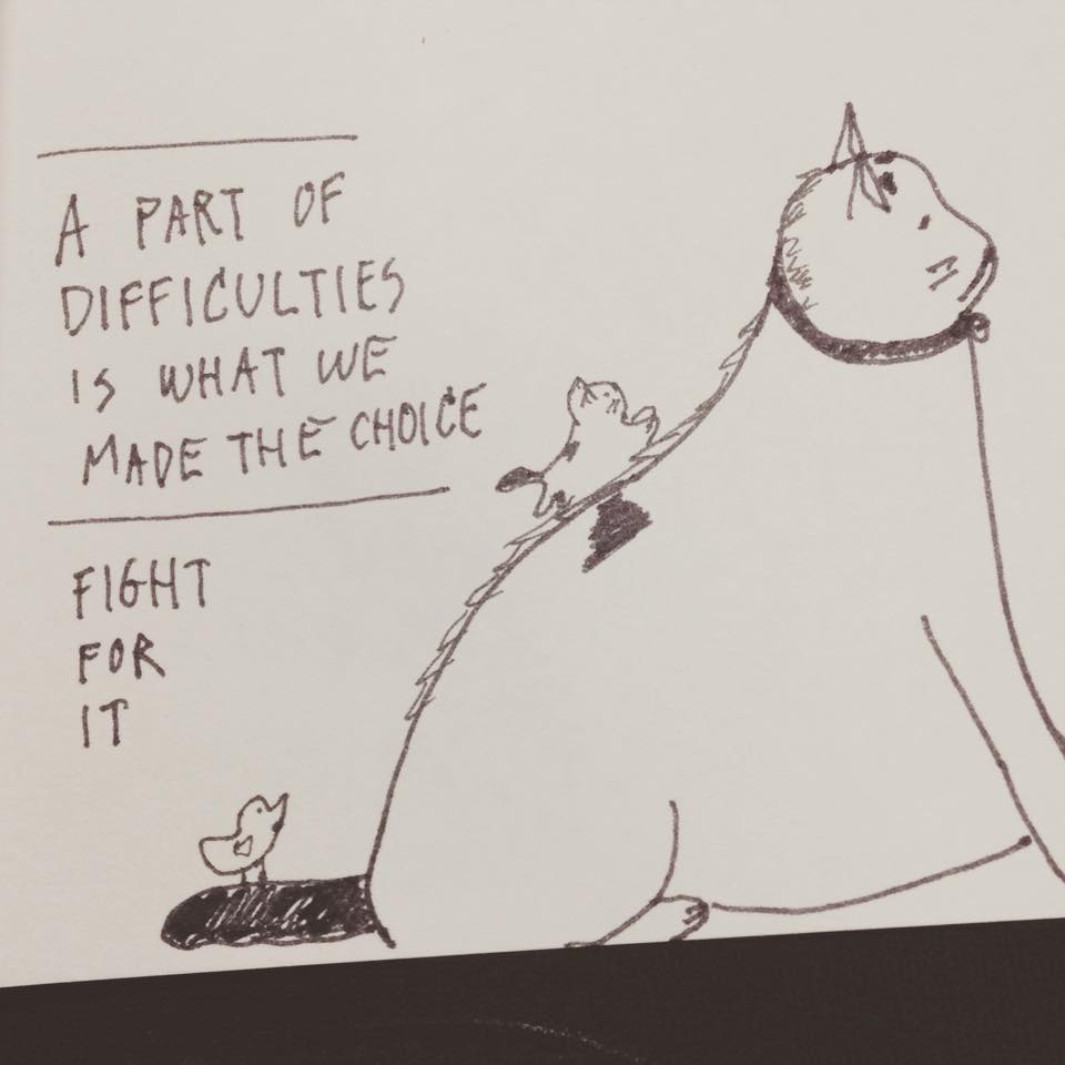 11403297_907645565961698_7399763536010157188_n