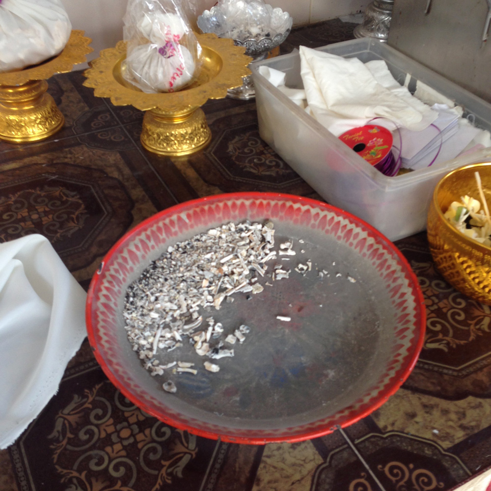 กระดูกแมวหลังเผาแล้ว