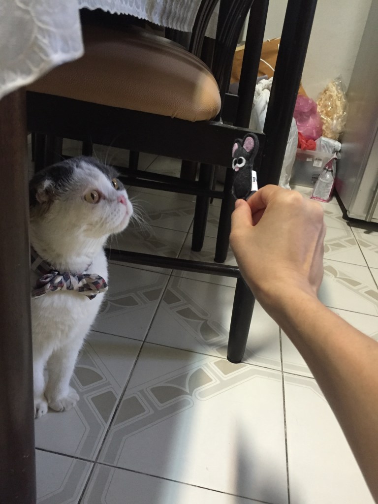 ของเล่นแมวโกเมส คุณชายแมว