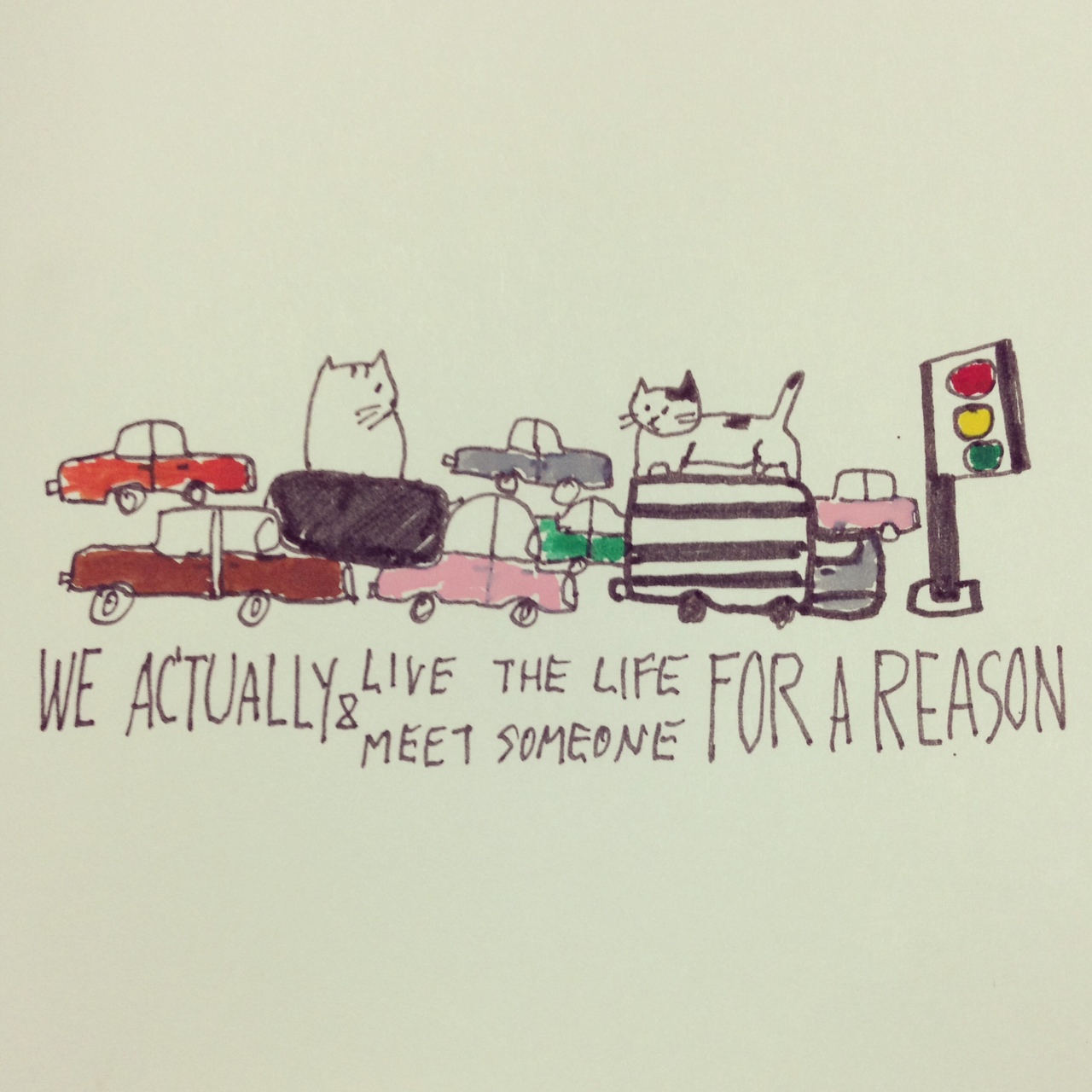 Live for a reason Catclub card