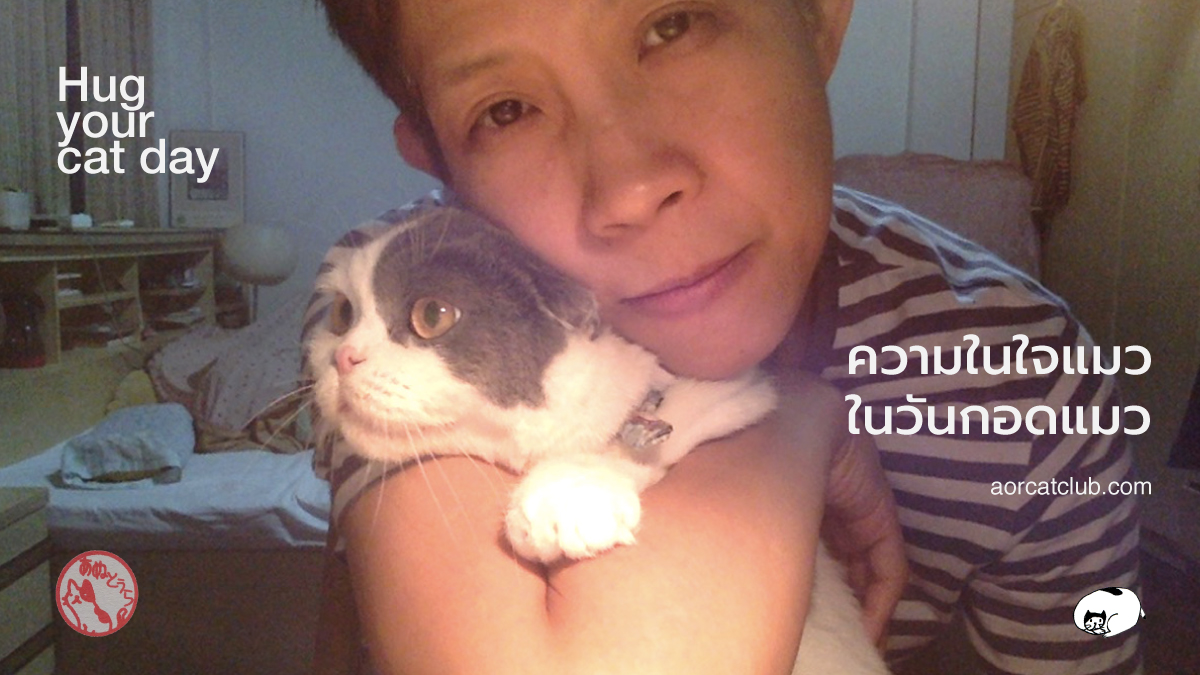 วันกอดแมว
