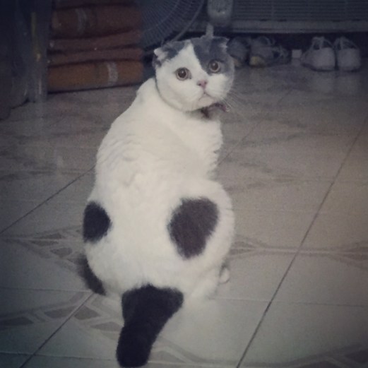 9a7e3eeb-8cd0-4837-9d54-bd06111f8a2d