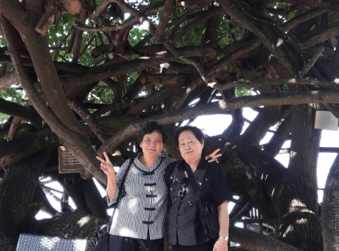 screen-shot-2016-12-03-at-1-57-19-pm