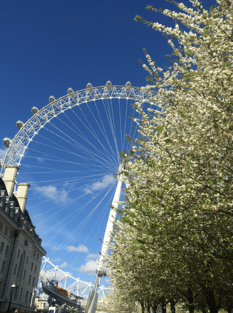 LondonEye_aorcatclub