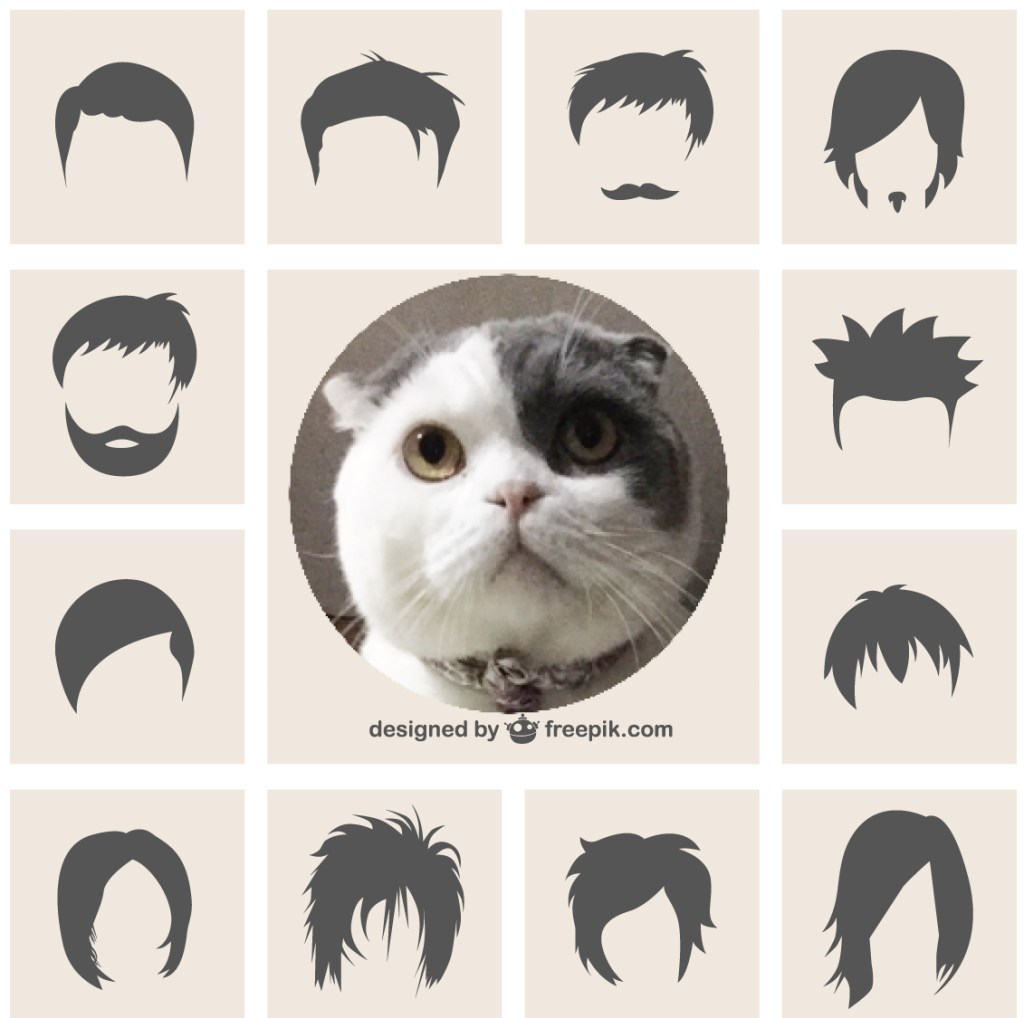 Bob-cat's-hairstyle