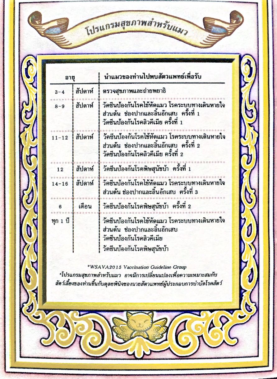 ตารางฉีดวัคซีนแมวที่ควรฉีด #Catclubguest