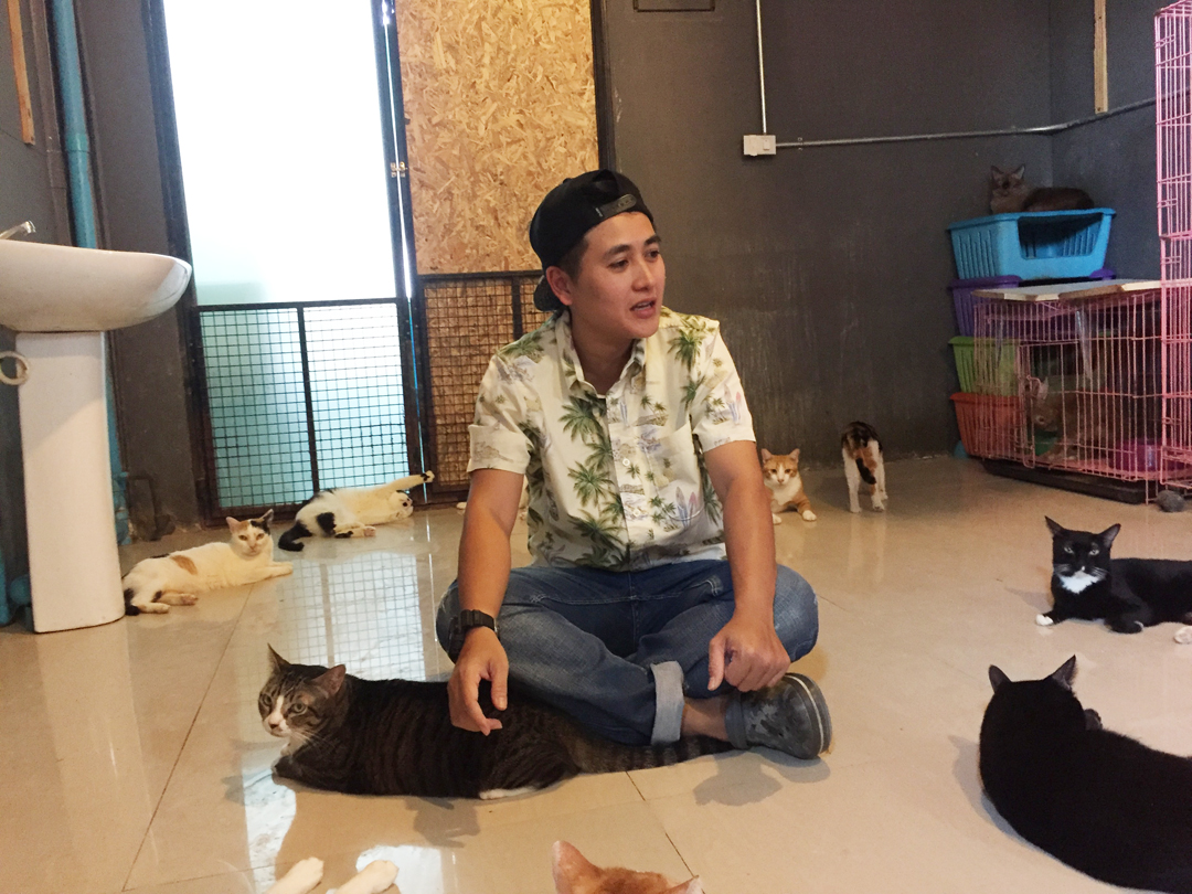 สัตว์แพทย์เลี้ยงแมวที่ลูกค้าไม่มารับคืน #Catclubguest