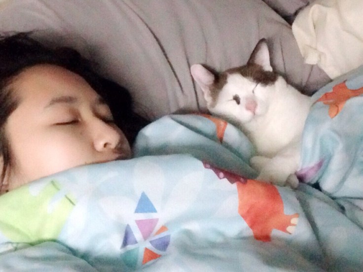 แมวจรรับมาเลี้ยงโครตน่ารัก #Catclubguest