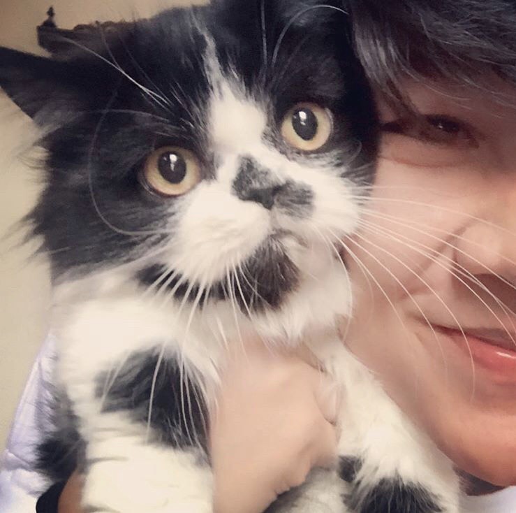 สู้กับโรค FIP แมว แมวต้องไม่เครียด #Catclubguest