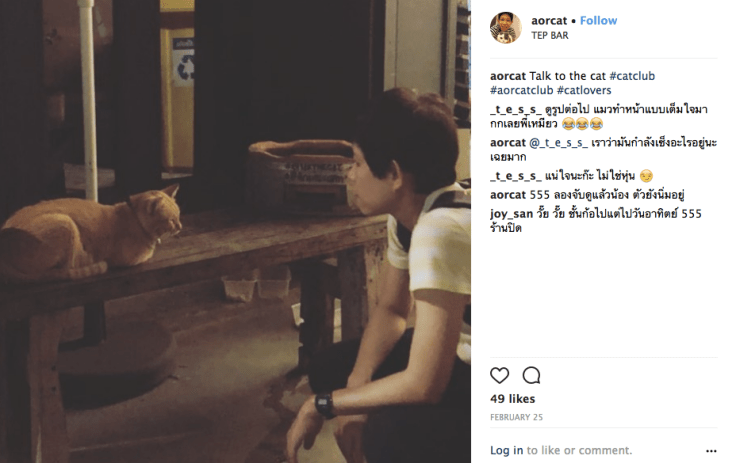 แมวอีฟักที่เทพฯบาร์