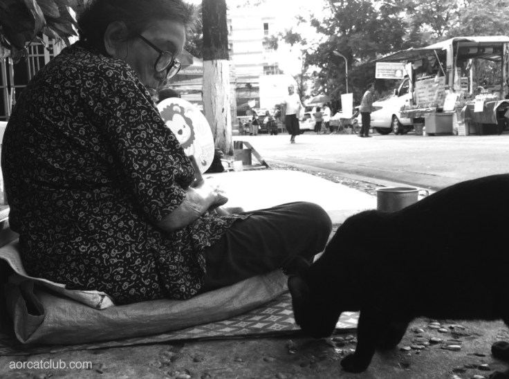 What if cats think as humans