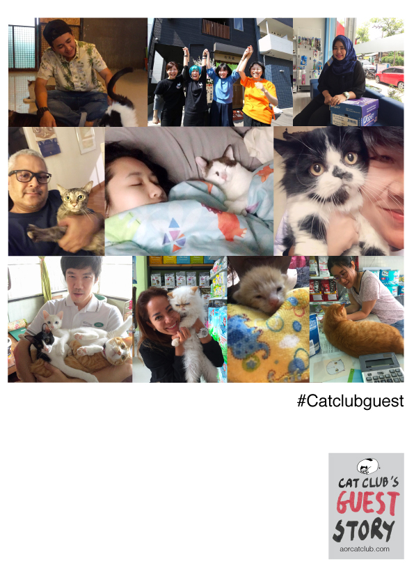 แขกรับเชิญใน Cat club guest