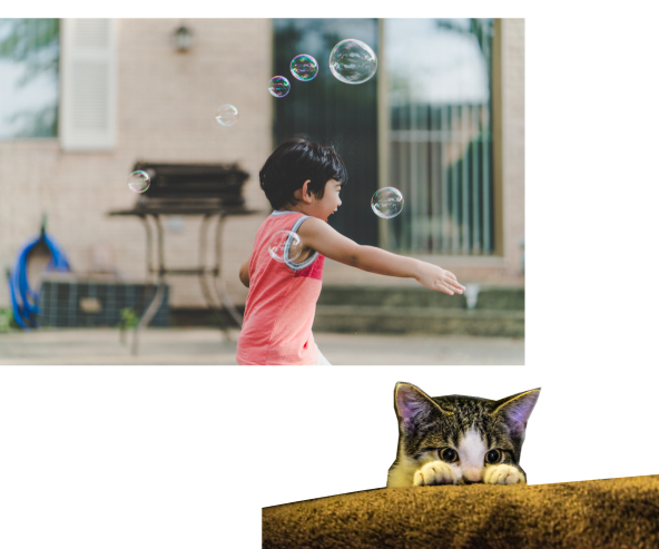 Benefits of Having a Cat for Children2