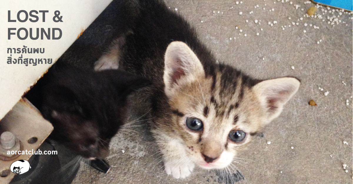 สิ่งที่ได้จากภาระกิจที่ถ้ำหลวง