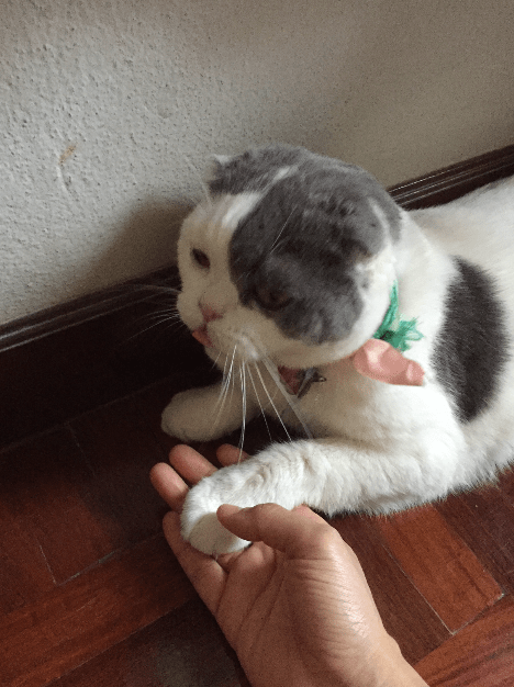 การเจอกันไม่ใช่สิ่งบังเอิญ