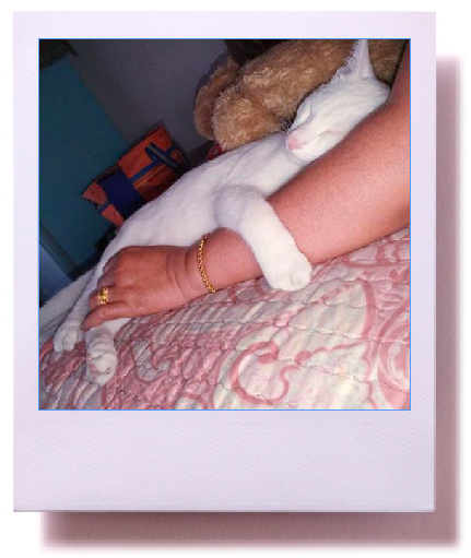 แมวขาวมณีขี้อ้อน