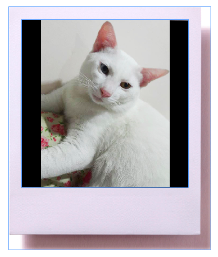 แมวจรเลี้ยงดีๆ ก็น่ารักมาก -Catclubguest