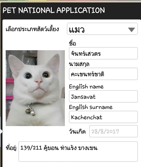สูจิบัตรแมว