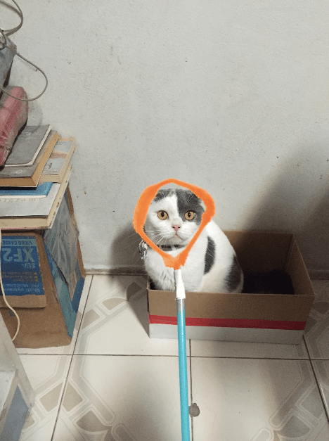 ของเล่นแมวทำเองง่ายๆ_Catclub