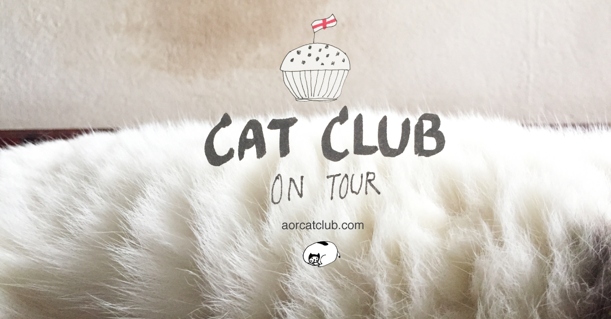 Cat club พาไปลอนดอน