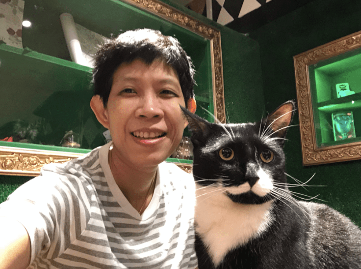 aorcatclub in Cat Emporium