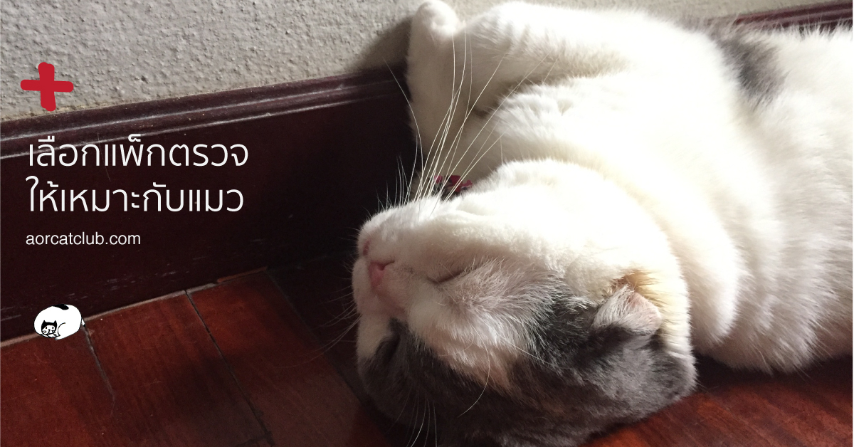 ชุดตรวจแมวตรวจหาค่าอะไรใน