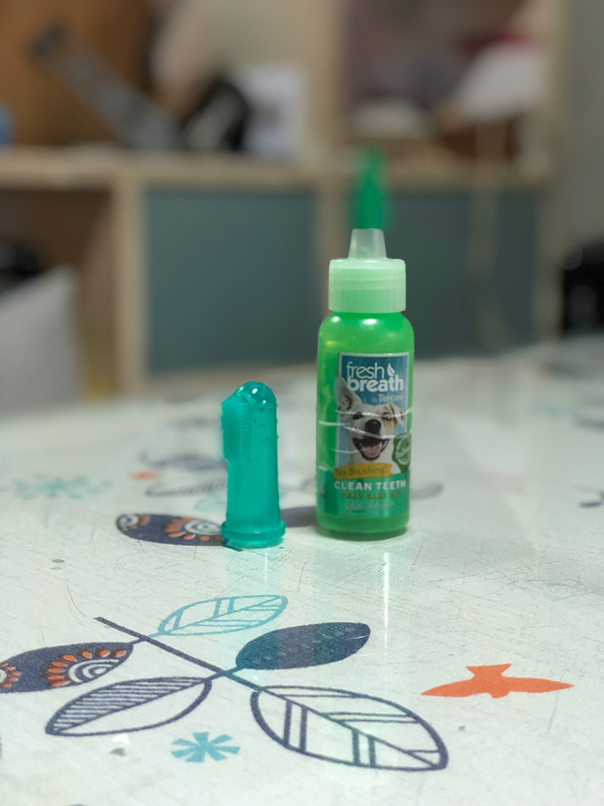 ยาสีฟันแมว 