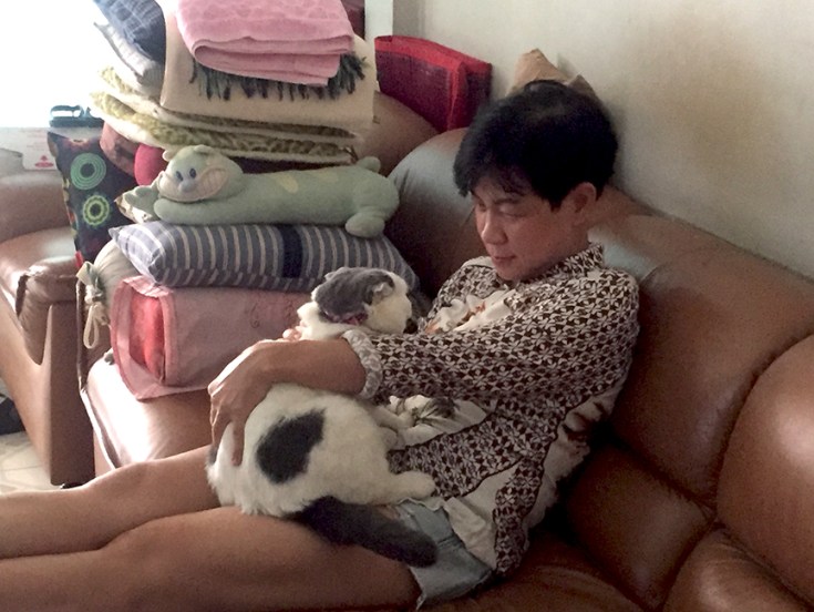 เล่นกับแมวช่วยโรคซึมเศร้า