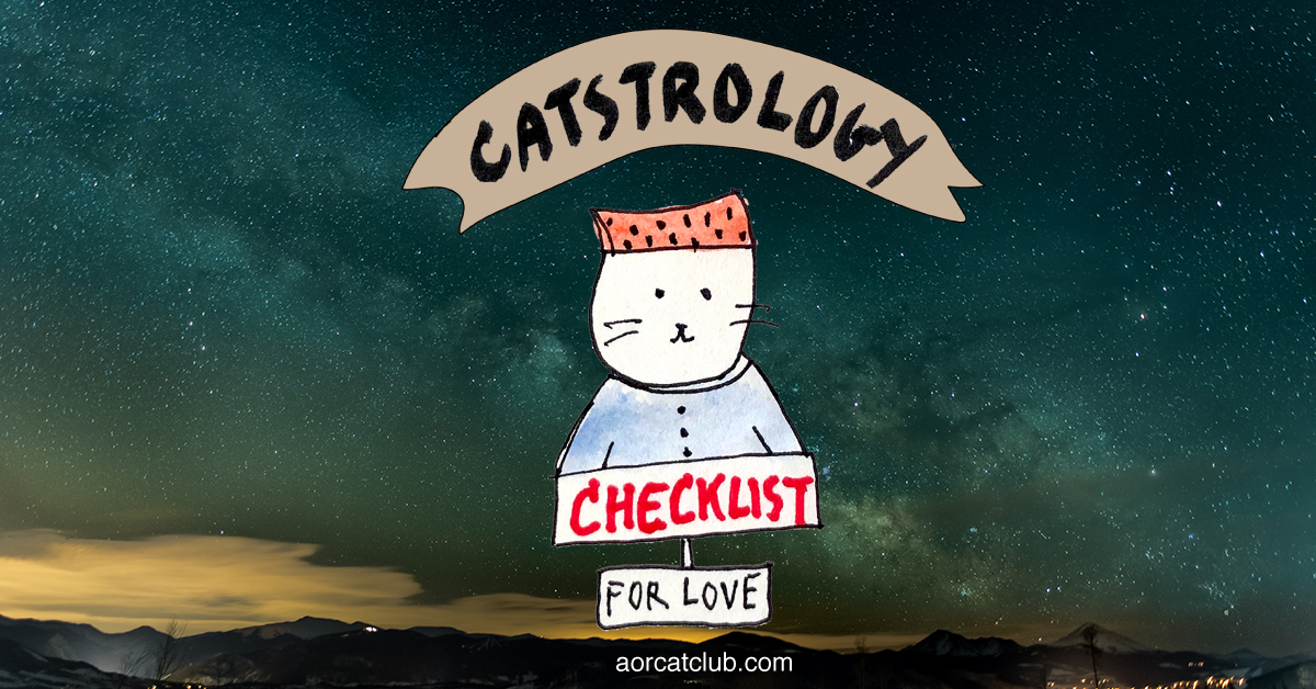 อยากมีคนรักเป็นแบบแมว