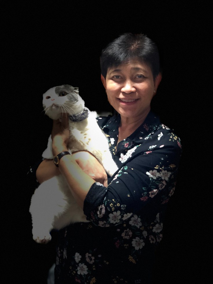 เซลฟี่กับแมว