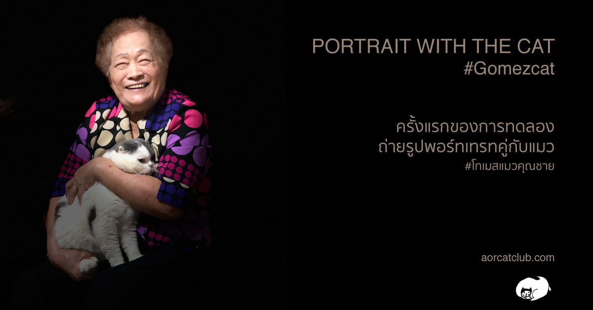 iPhone X ถ่ายรูป Portrait คู่กับแมวสวยมาก