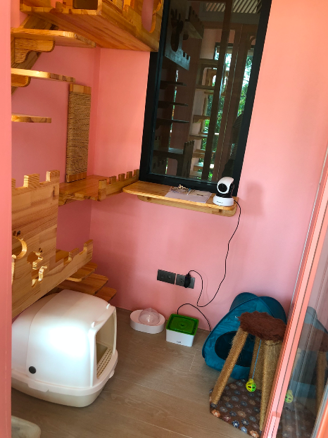 ของใช้จำเป็นที่โรงแรมแมวต้องมี