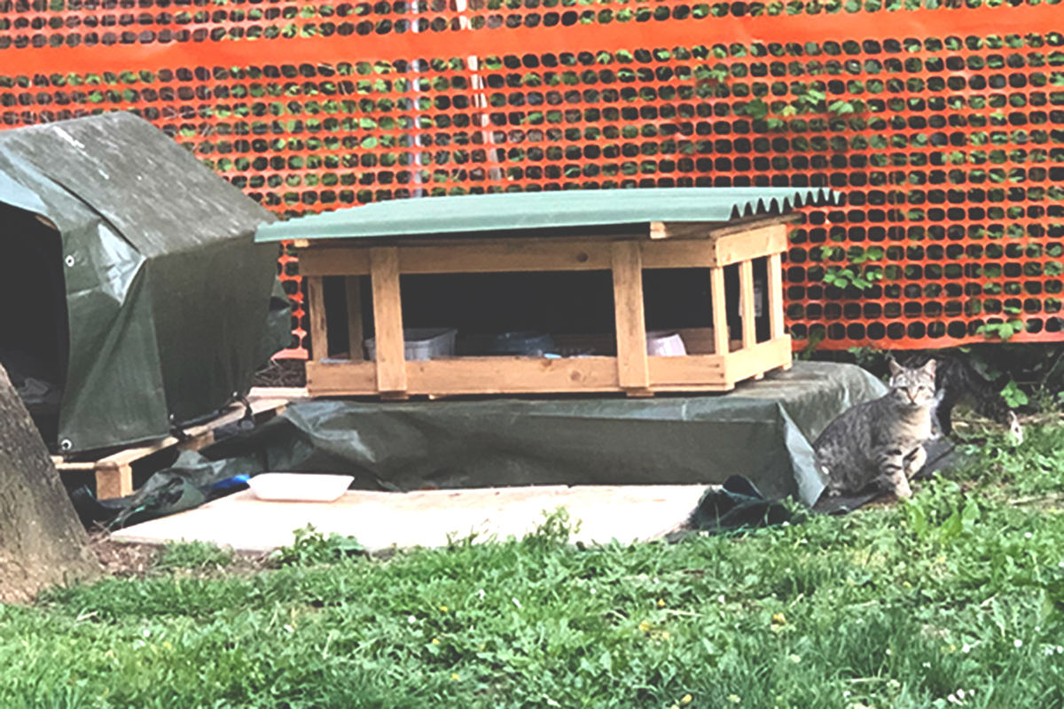 บ้านแมวที่อิตาลี