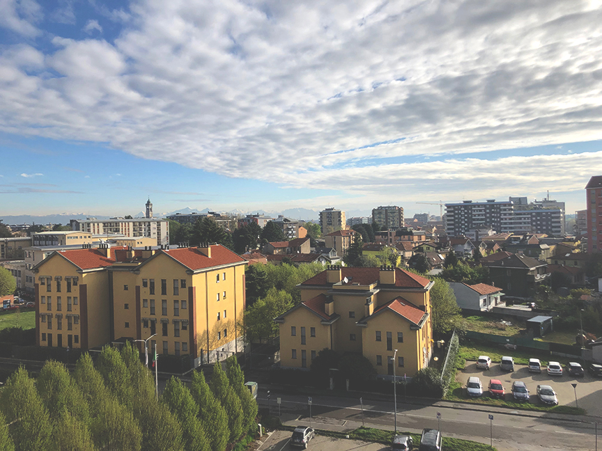 Live with stray cat in Rho