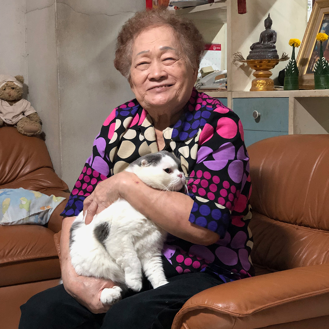 เลี้ยงแมวเป็นเพื่อนคนแก่