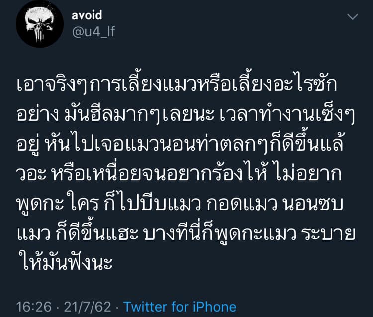 อารมณ์คนเลี้ยงแมว