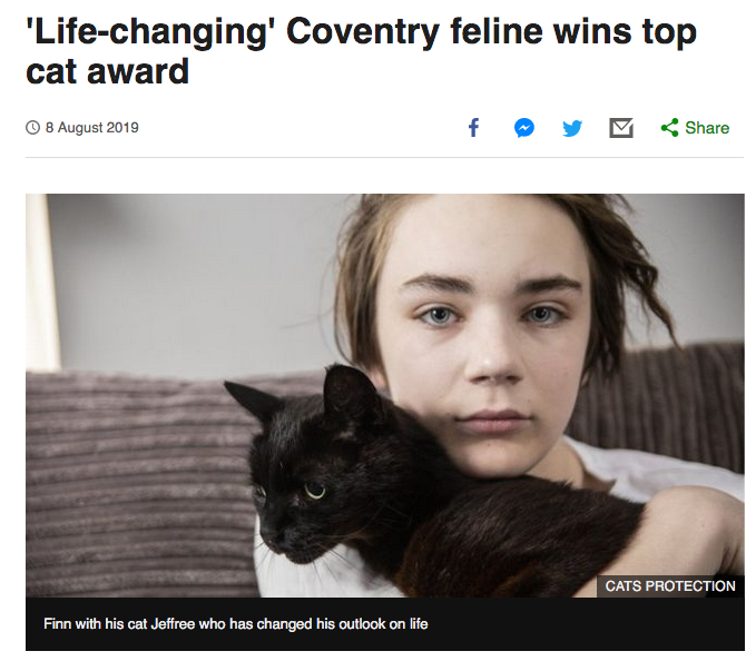 แมวช่วยเด็กจากโรคซึมเศร้า