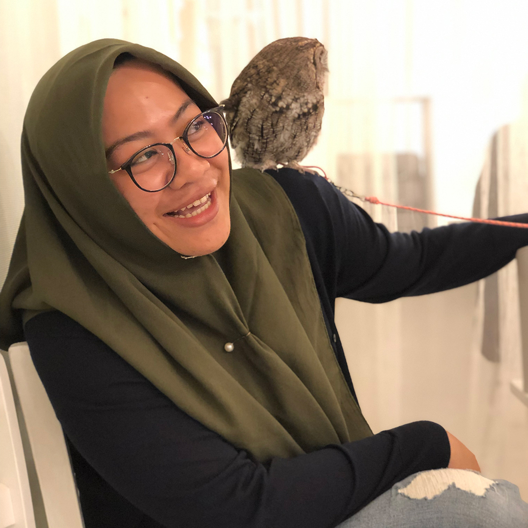 เที่ยวคาเฟ่นกฮูกในโตเกียวสนุกมาก