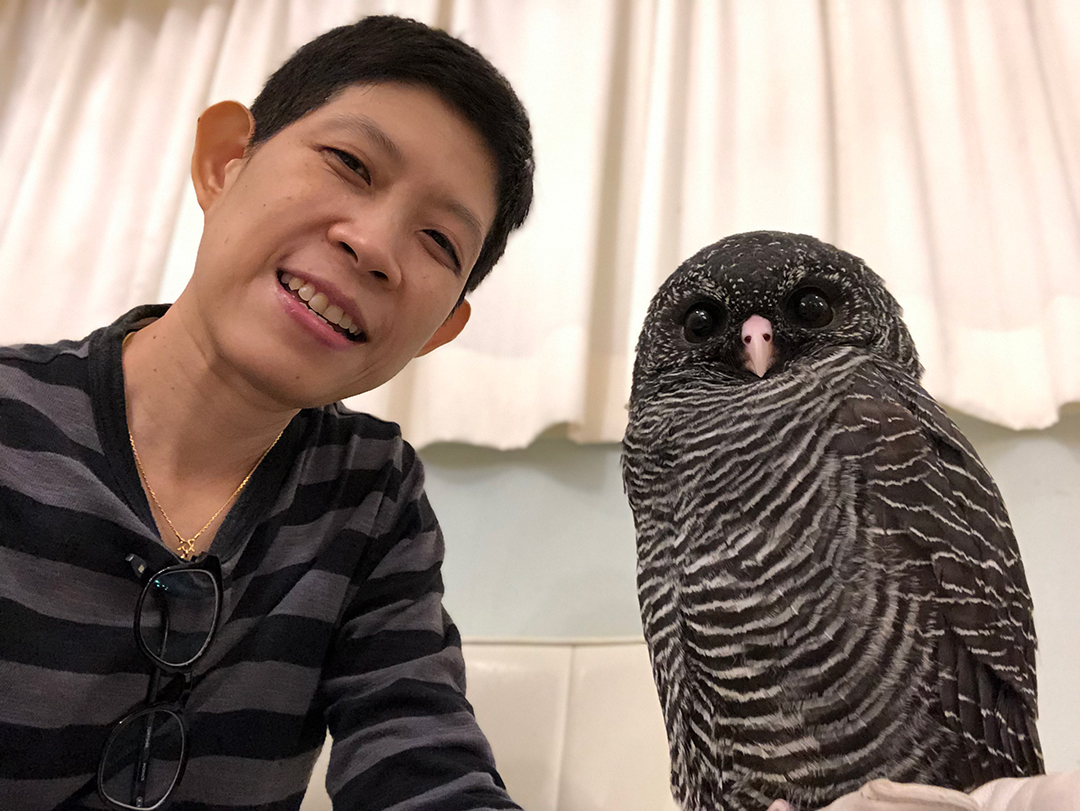 ถ่ายรูปคู่กับนกฮูกที่คาเฟ่นกฮุกในโตเกียว