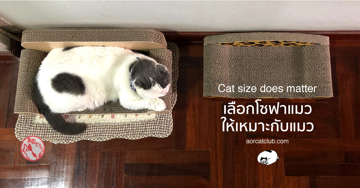 ที่ลับเล็บแมวแบบโซฟา