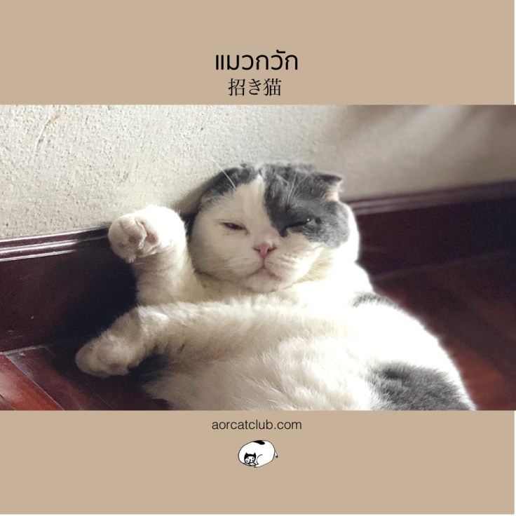 เลี้ยงแมวเป็นแมวกวัก