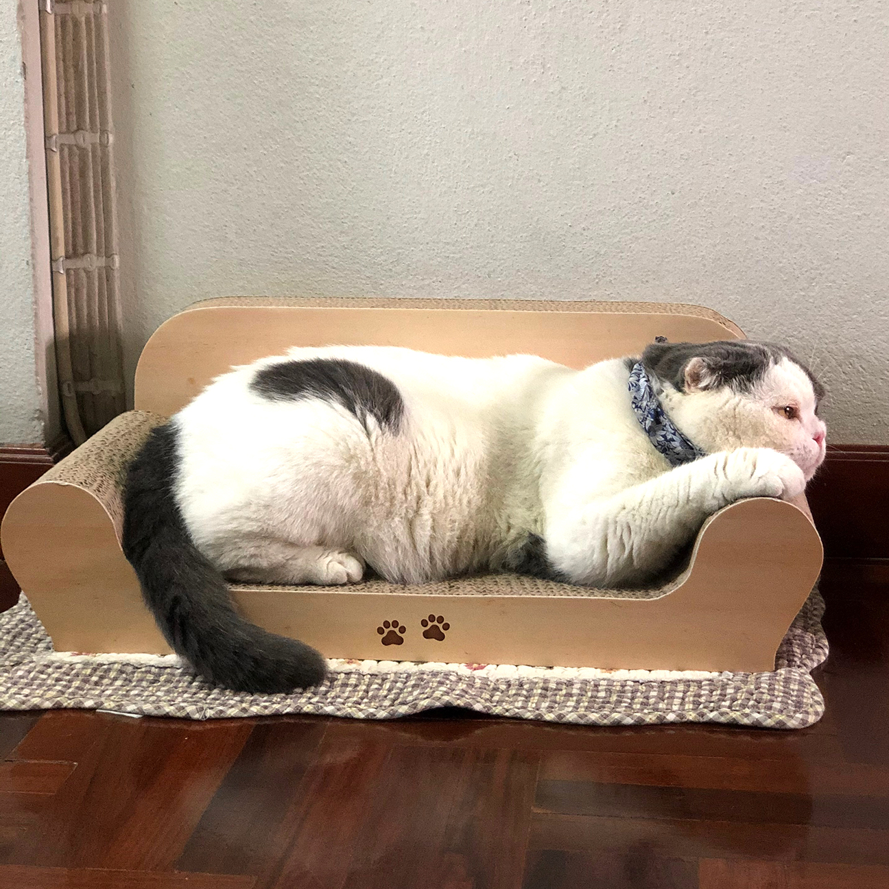 โซฟาแมว Size L