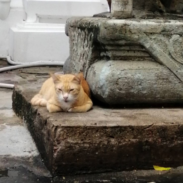 รู้สึก Lost