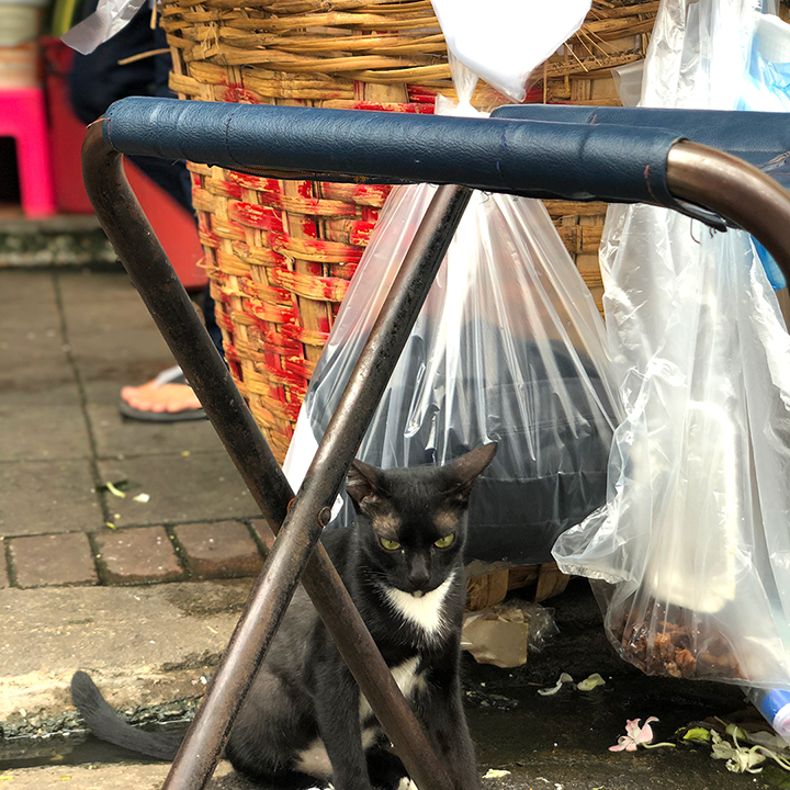 เวลารู้สึกสูญเสีย