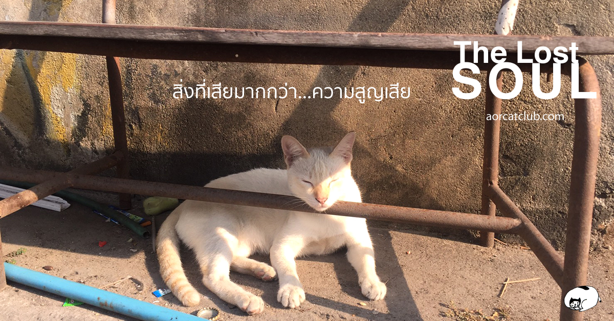 เหยื่อที่ถูกกราดยิงที่โคราช