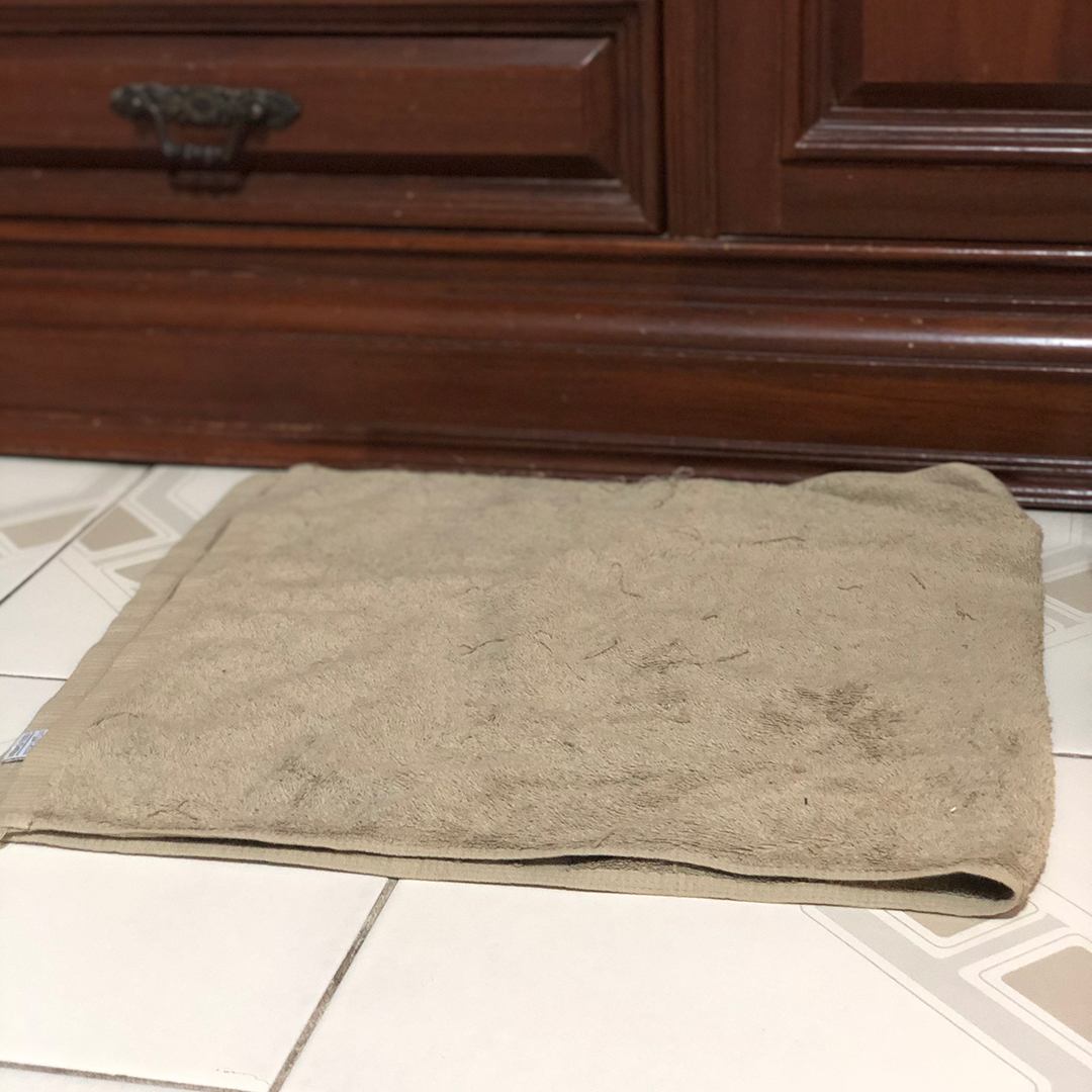 ทำของใช้แมว