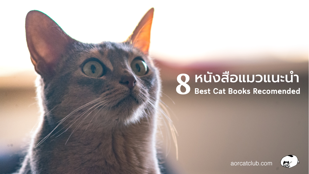 8 หนังสือแมวแนะนำ