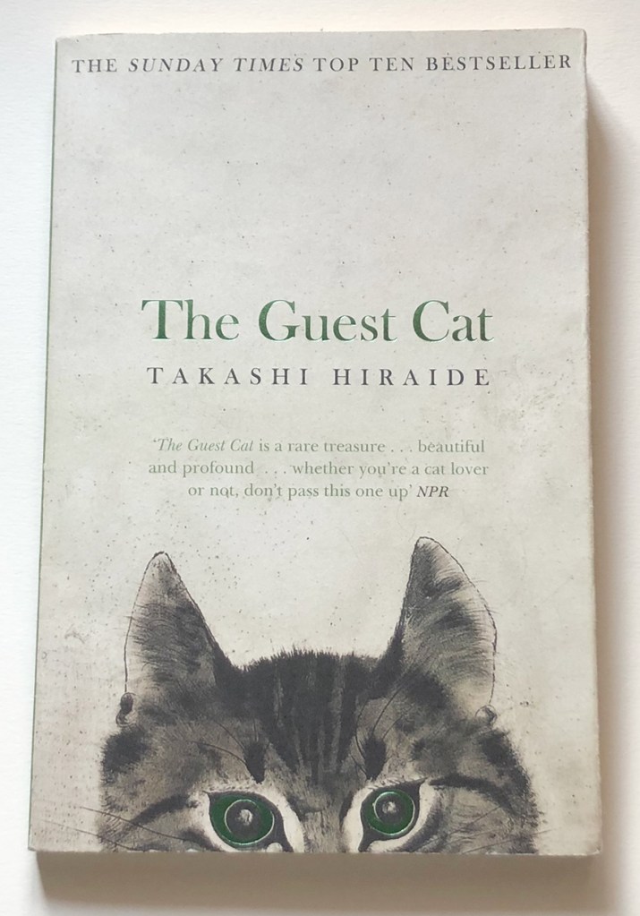 หนังสือแมวสนุกๆ