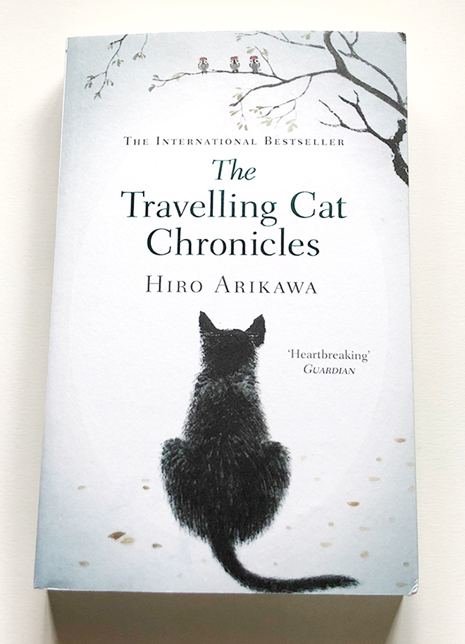 แมวชอบเดินทาง